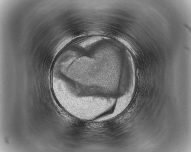 X0000097861047200804111148