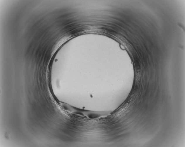 X0000097861050200804111148