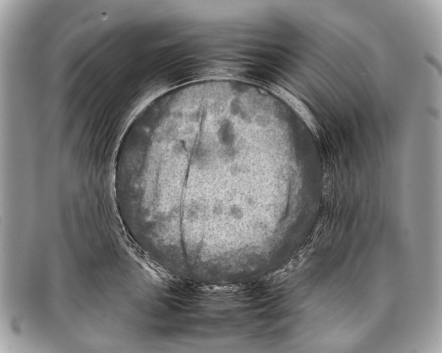 X0000097861051200804111148