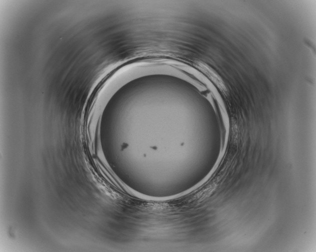 X0000097861052200804111148