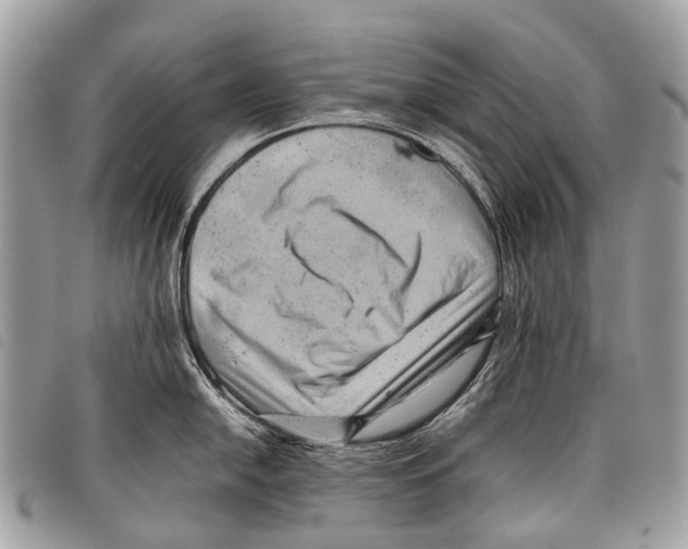 X0000097861054200804111148