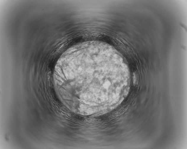 X0000097861059200804111148