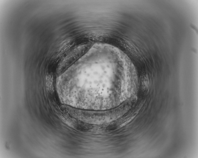 X0000097861060200804111148