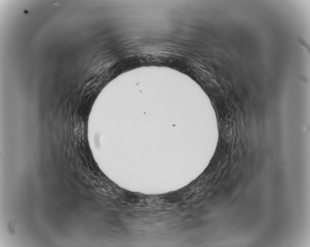 X0000097861061200804111148