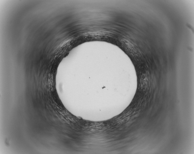 X0000097861062200804111148