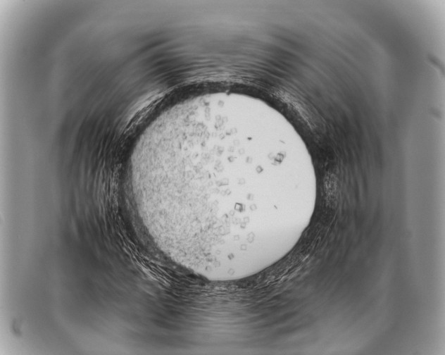 X0000097861064200804111148