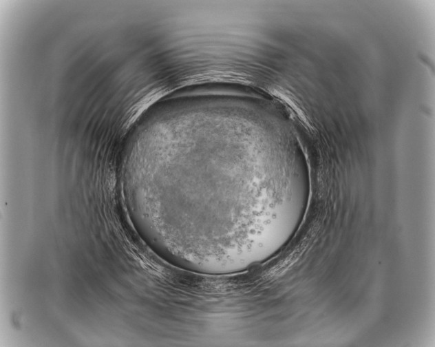 X0000097861065200804111148