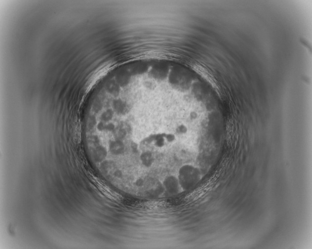 X0000097861067200804111147