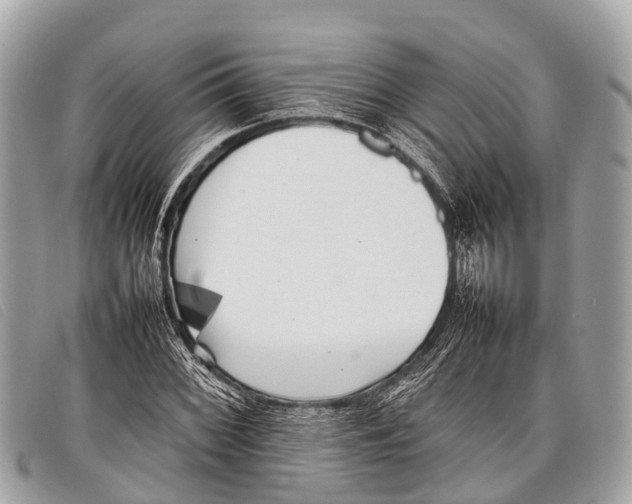 X0000097861068200804111147