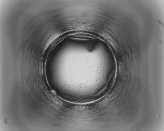 X0000097861069200804111147