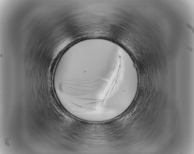 X0000097861071200804111147