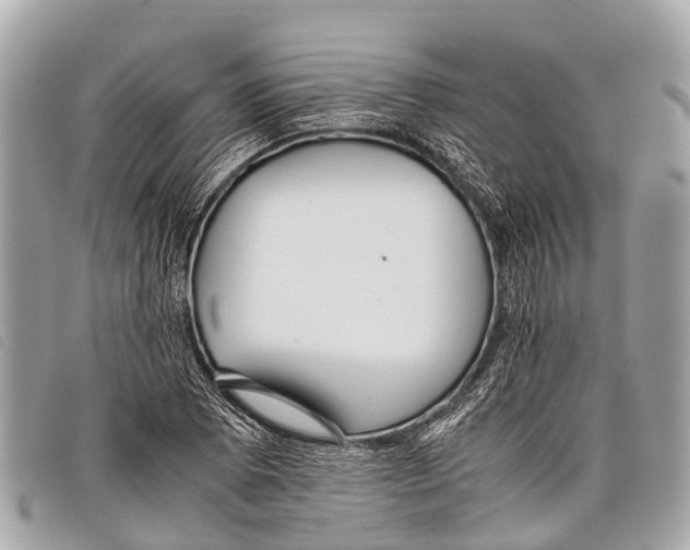 X0000097861073200804111147