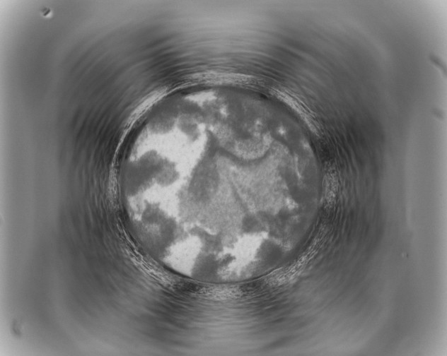 X0000097861074200804111147