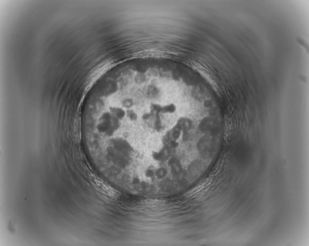 X0000097861075200804111147