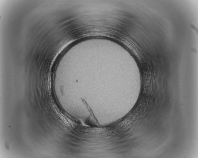 X0000097861076200804111147