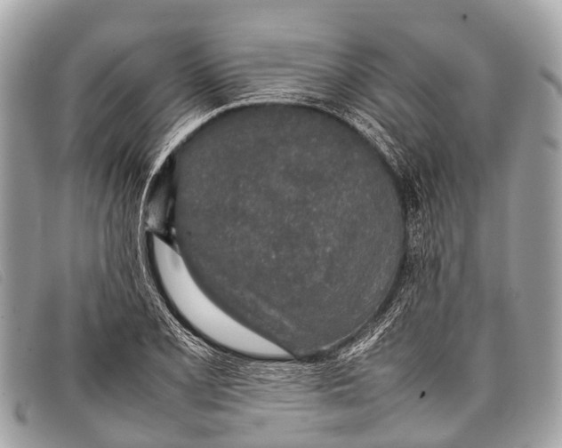 X0000097861077200804111147