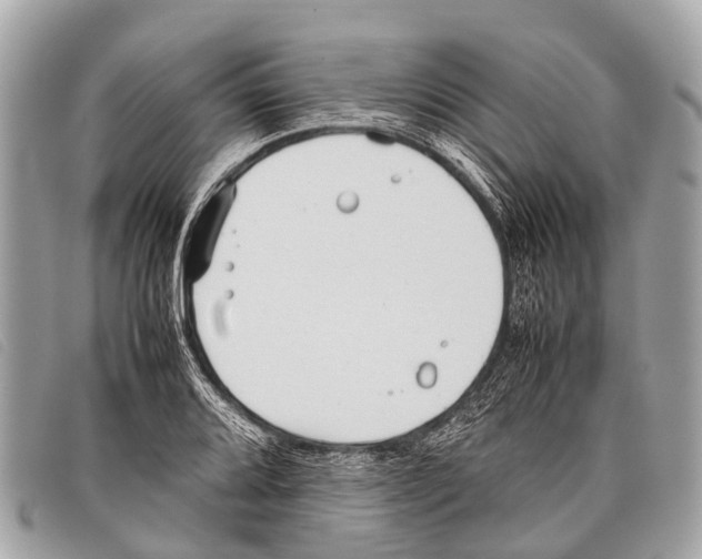 X0000097861080200804111147