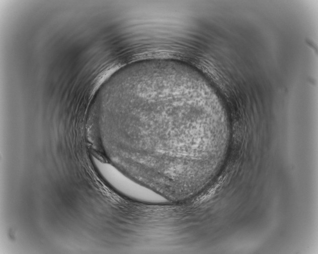 X0000097861081200804111147