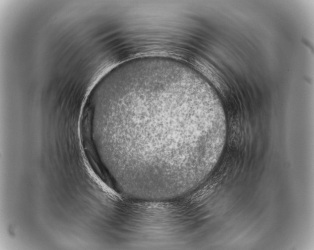 X0000097861084200804111147