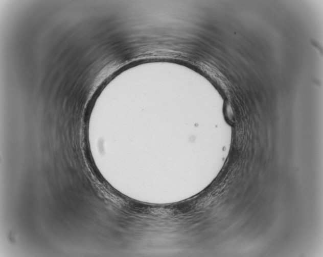 X0000097861085200804111147