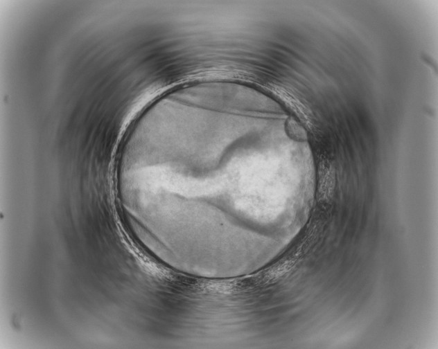 X0000097861086200804111147