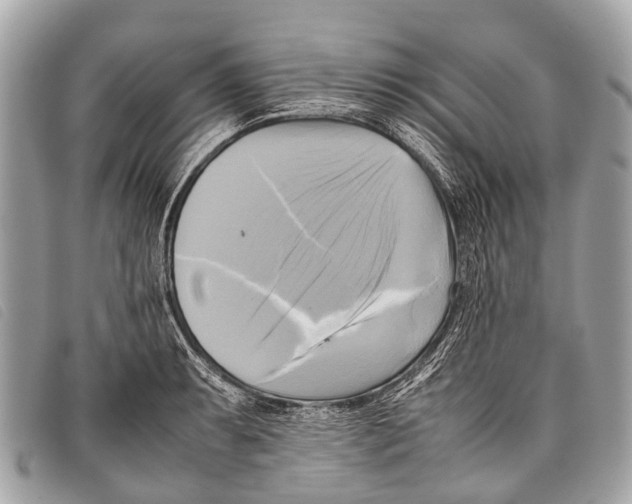 X0000097861087200804111147