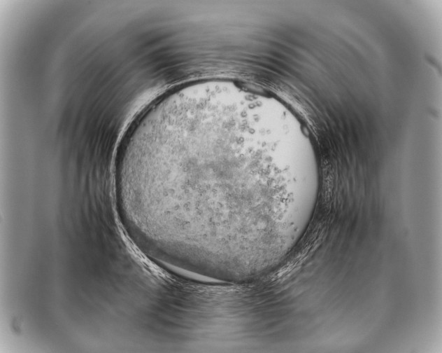 X0000097861088200804111147