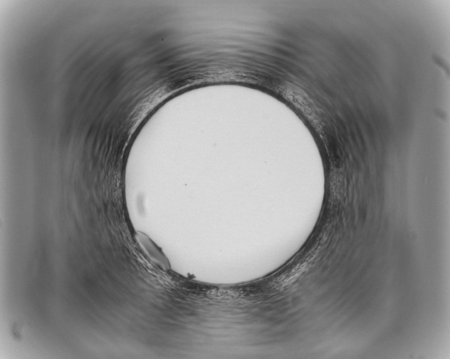 X0000097861089200804111147