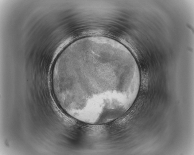 X0000097861090200804111147