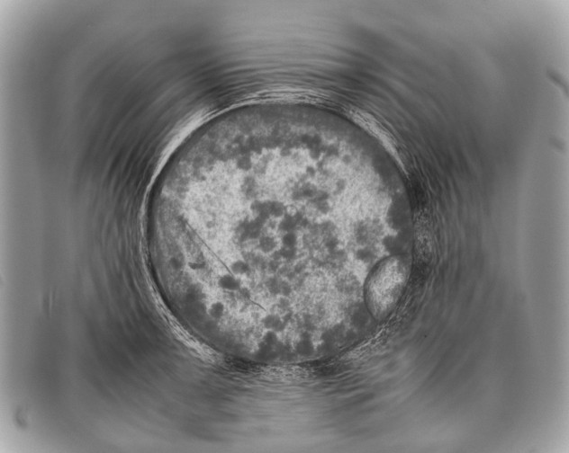 X0000097861091200804111147