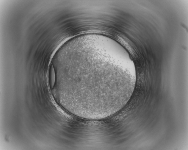 X0000097861092200804111147