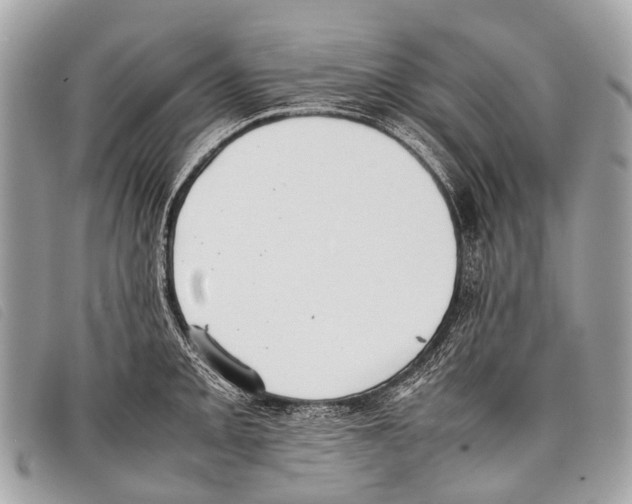 X0000097861093200804111147