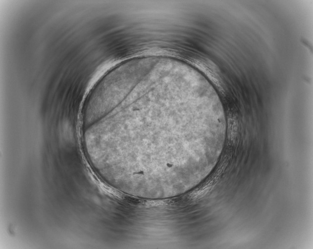 X0000097861094200804111147