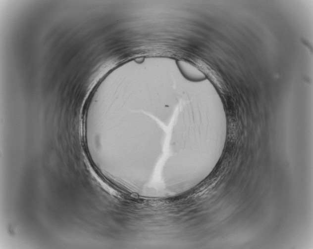 X0000097861095200804111147