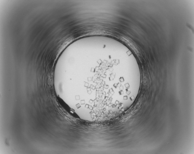 X0000097861097200804111147