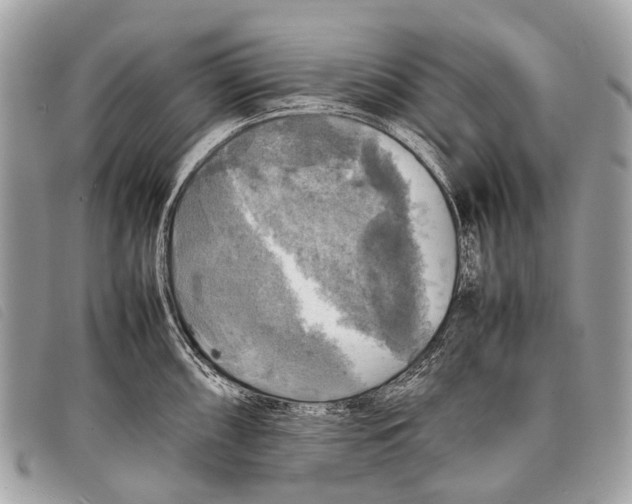 X0000097861098200804111147