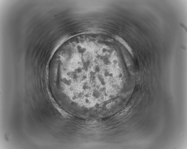 X0000097861099200804111147