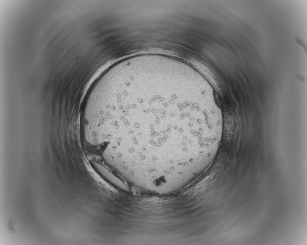 X0000097861100200804111147