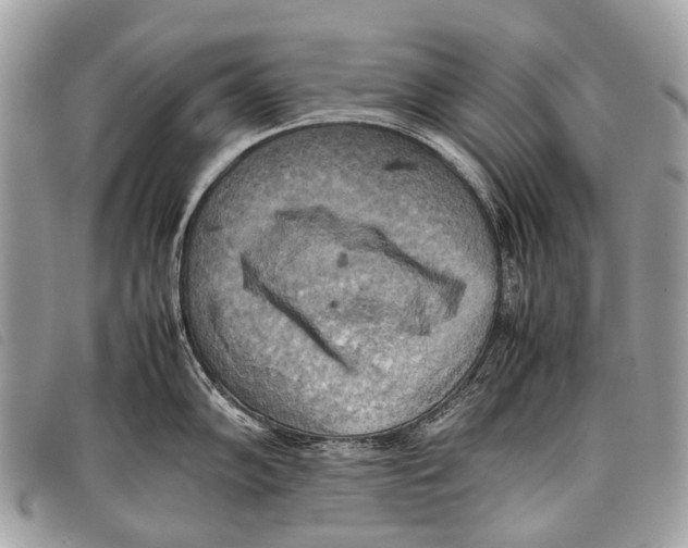 X0000097861102200804111147