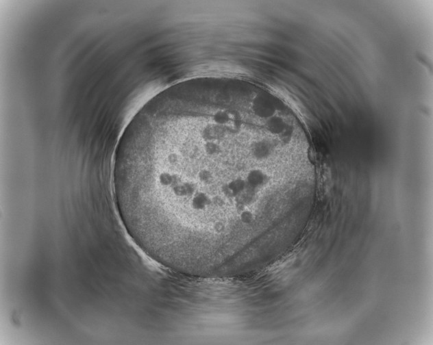 X0000097861103200804111147