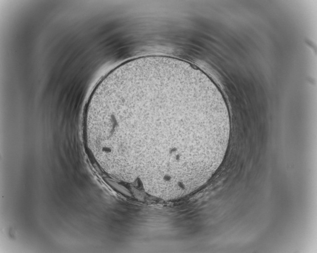 X0000097861104200804111147