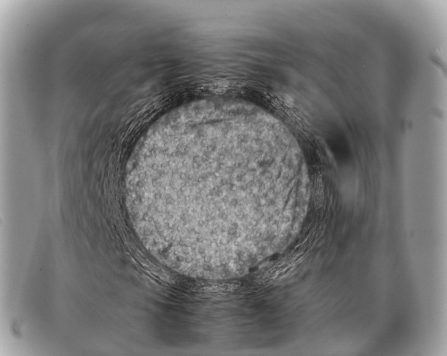 X0000097861105200804111146