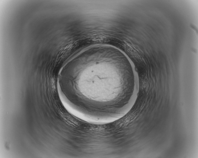 X0000097861106200804111146