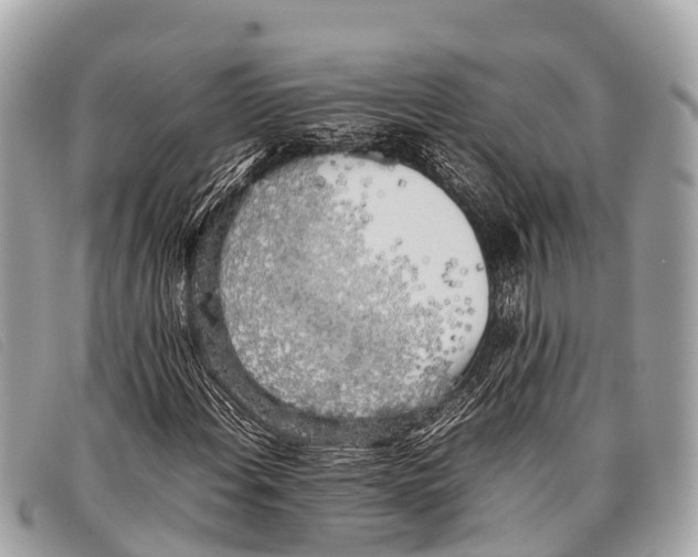 X0000097861108200804111146