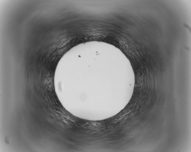 X0000097861109200804111146