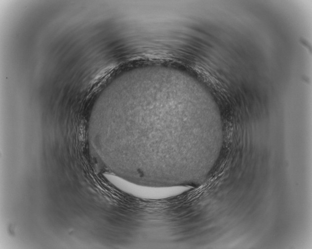 X0000097861110200804111146