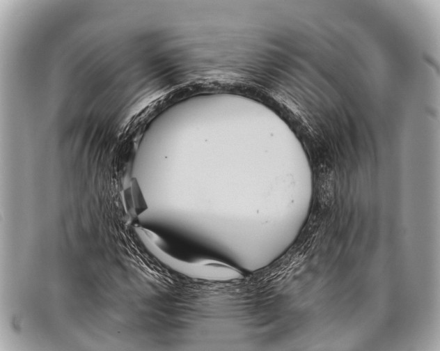 X0000097861112200804111146