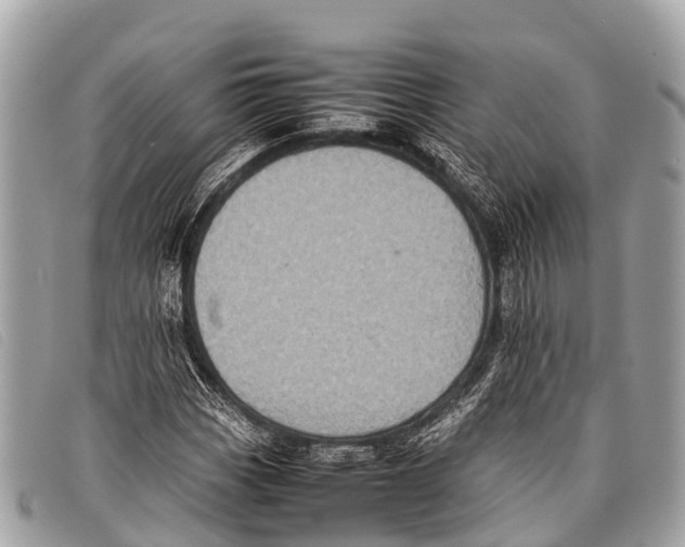 X0000097861113200804111146