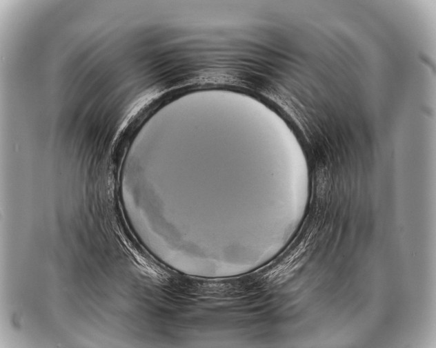 X0000097861115200804111146