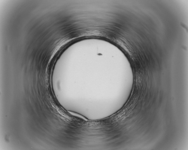 X0000097861116200804111146